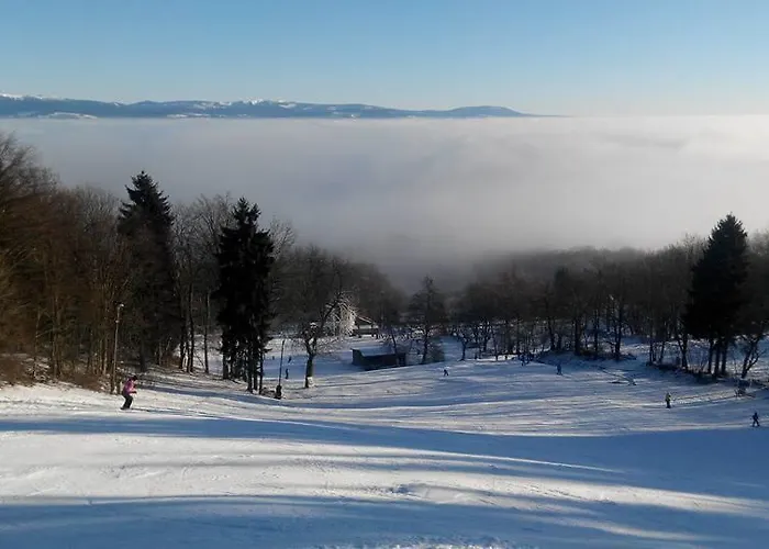 Πανσιόν Riegrova Kozakov